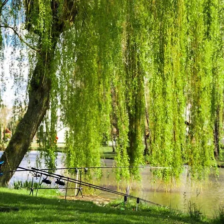 Camping Papillon Bouillon - 235 Comfort Chalet *