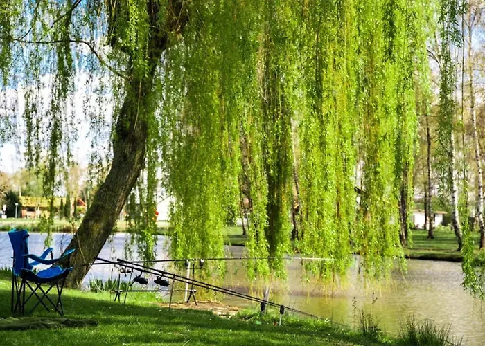 Papillon - Comfort 4p Chalet *