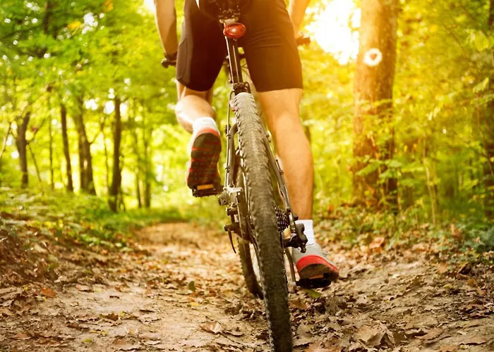 Chalet Papillon - Comfort 4p